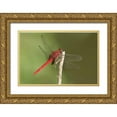 thumbnail image 1 of Welling, Dave 18x13 Gold Ornate Wood Framed with Double Matting Museum Art Print Titled - TX, Santa Ana NWR Male claret pondhawk dragonfly, 1 of 4