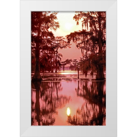 Welling, Dave 22x32 White Modern Wood Framed Museum Art Print Titled - Louisiana Sunset on a Atchafalaya Basin bayou