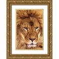 thumbnail image 1 of Welling, Dave 23x32 Gold Ornate Wood Framed with Double Matting Museum Art Print Titled - CA, Los Angeles Co, African lion male, 1 of 4