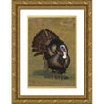 thumbnail image 1 of Welling, Dave 23x32 Gold Ornate Wood Framed with Double Matting Museum Art Print Titled - Mexico, Tamaulipas Tom turkey in mating display, 1 of 4