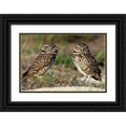 thumbnail image 1 of Welling, Dave 24x17 Black Ornate Wood Framed with Double Matting Museum Art Print Titled - FL, Sanibel Island Burrowing owls pair by burrow, 1 of 4