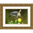 thumbnail image 1 of Welling, Dave 24x17 Gold Ornate Wood Framed with Double Matting Museum Art Print Titled - TX, McAllen Male gold-fronted woodpecker eats, 1 of 4