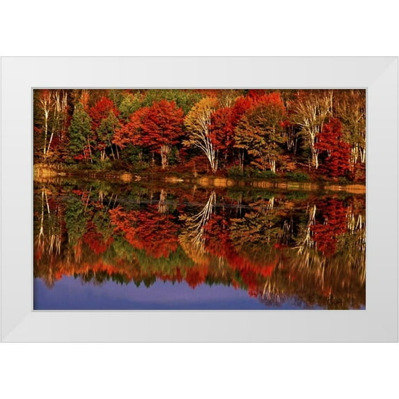Welling, Dave 24x17 White Modern Wood Framed Museum Art Print Titled - United States, MI, Fall reflects in Thornton Lake