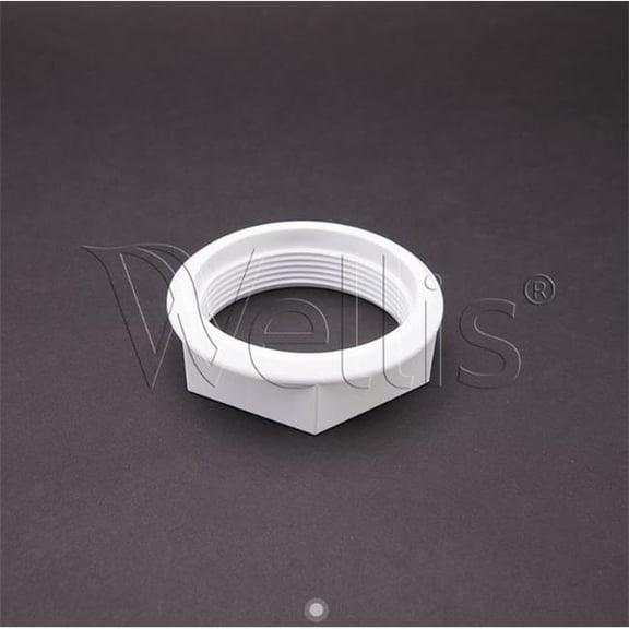 Wellis AJ00285 Nut for Suction 2 in. RD USA