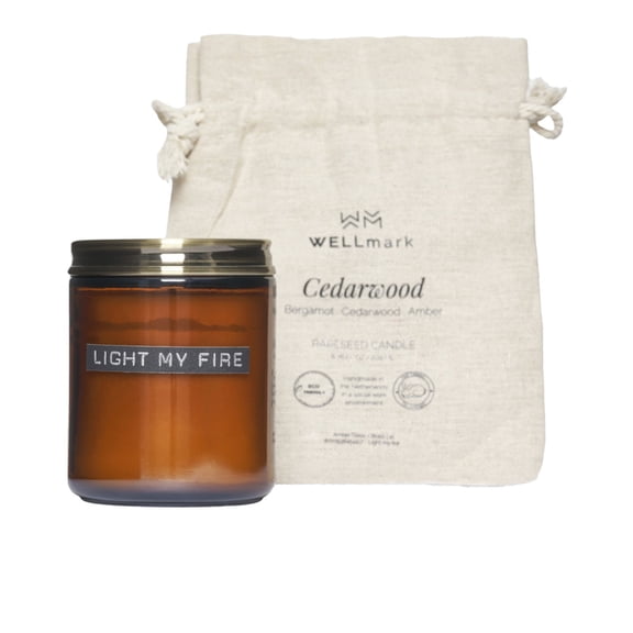 Wellmark Cedarwood Scented Candle