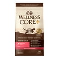 thumbnail image 1 of Wellness CORE+ Digestive Health Salmon & Rice Dry Cat Food, 11 Pound Bag, 1 of 8