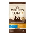 thumbnail image 1 of Wellness CORE+ Grain-Free Indoor Salmon & Herring Meal Recipe Dry Cat Food, 11 Pound Bag, 1 of 8