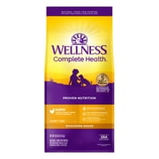 Wellness Complete Health Puppy Dry Dog Food, Wholesome Grains, Natural, Chicken, Oatmeal, & Salmon Recipe, (30-Pound Bag)