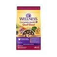 thumbnail image 1 of Wellness Complete Health+ Small Breed Adult Dry Dog Food with Freeze Dried Wellbites, Wholesome Grain Kibble+, Natural, Turkey and Oatmeal Recipe, 3.75 lb Bag, 1 of 9