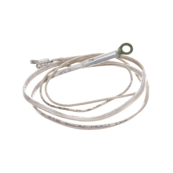 Wells 2J-Z16743 Probe, Temp-Rtd-2K