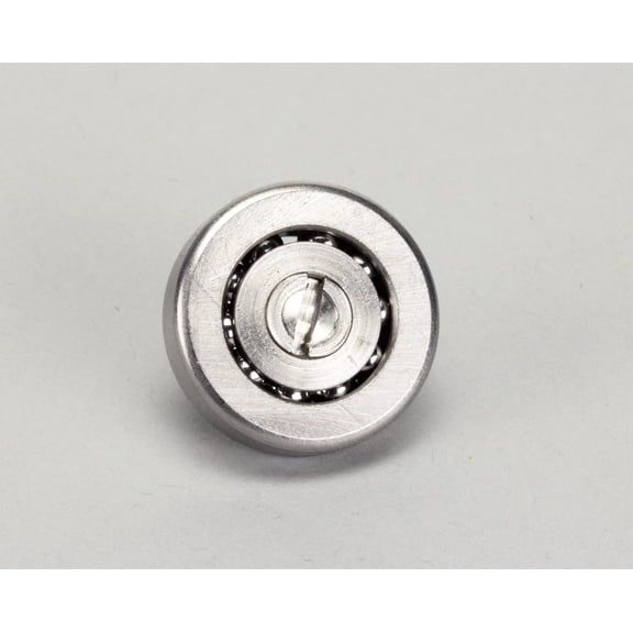 Wells 2P-30483 Bearing Roller Track-R116 Each