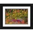 thumbnail image 1 of Wells, Joanne 14x11 Black Ornate Wood Framed with Double Matting Museum Art Print Titled - Maine Fall foliage in Acadia National Park, 1 of 4