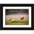 thumbnail image 1 of Wells, Joanne 24x17 Black Ornate Wood Framed with Double Matting Museum Art Print Titled - Tennessee Elk in foggy field at Great Smoky Mountains National Park, 1 of 4