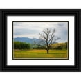 thumbnail image 1 of Wells, Joanne 32x23 Black Ornate Wood Framed with Double Matting Museum Art Print Titled - Tennessee Lone tree in field at Cades Cove, 1 of 4