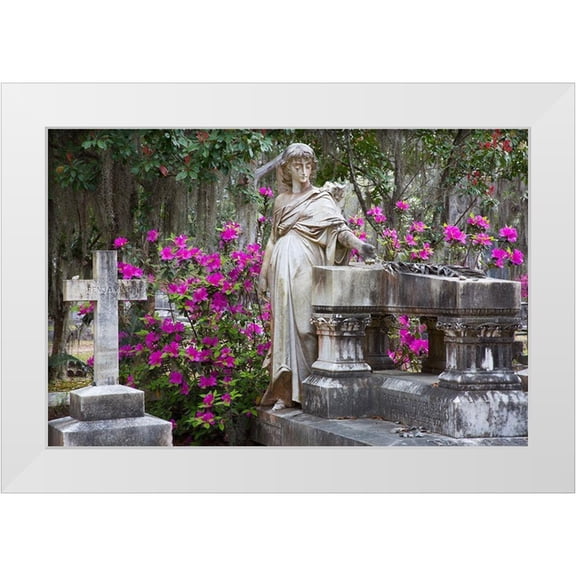 Wells, Joanne 32x23 White Modern Wood Framed Museum Art Print Titled - Georgia-Savannah-Bonaventure Cemetery in the spring with azaleas in bloom