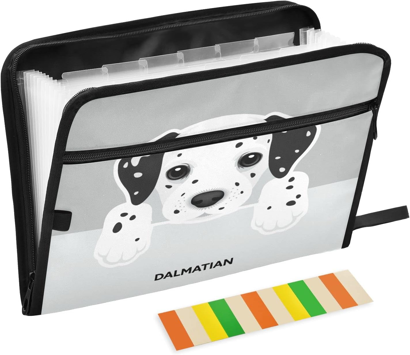 Wellsay Accordian File Organizer,Dalmatian Puppy Dog 13 Pockets