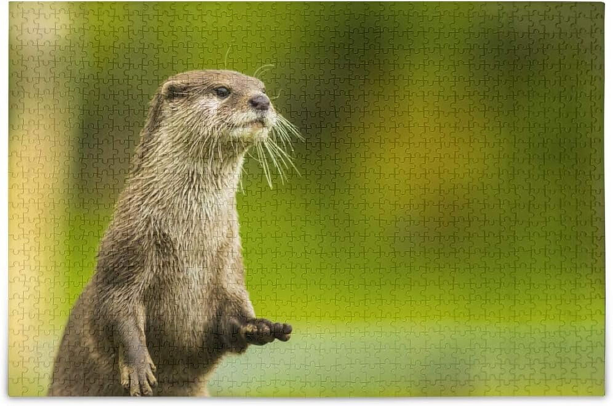 Wellsay Asian Oriental Small Clawed Otter On Fuzzy Green Forest Jigsaw ...