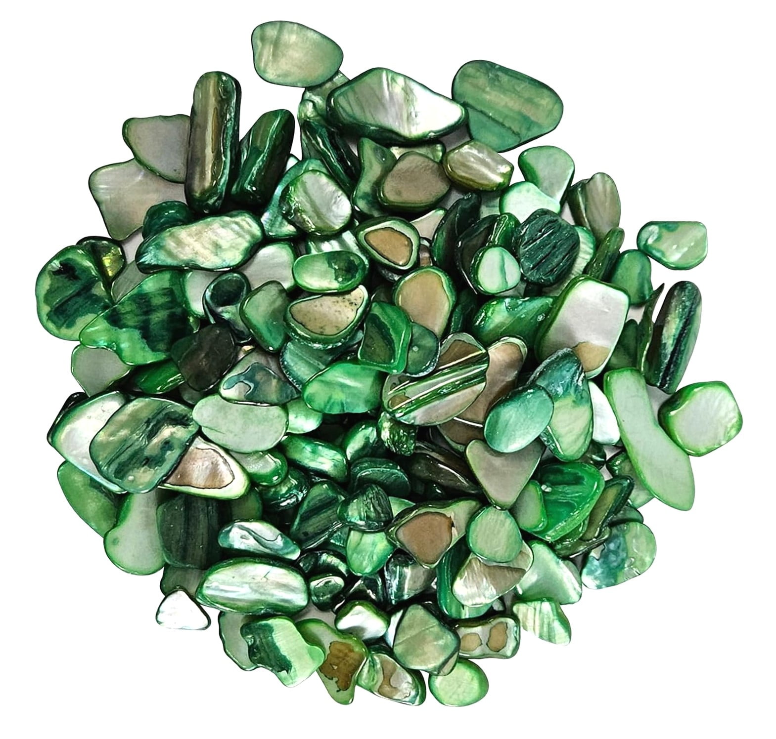 Wellsay Crushed Shells Chips Irregular Mother of Seashell Fragments Sea ...