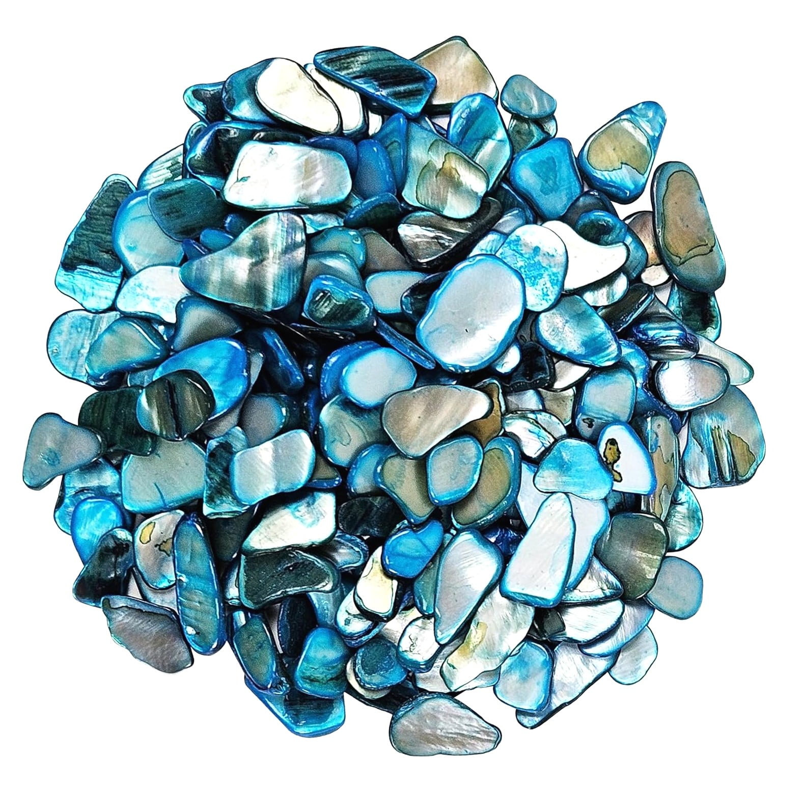 Wellsay Crushed Shells Chips Irregular Mother of Seashell Fragments Sea ...