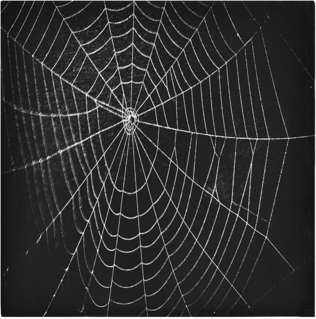 Wellsay Happy Halloween Spider Web Black Polyester Cloth Dinner Napkins ...