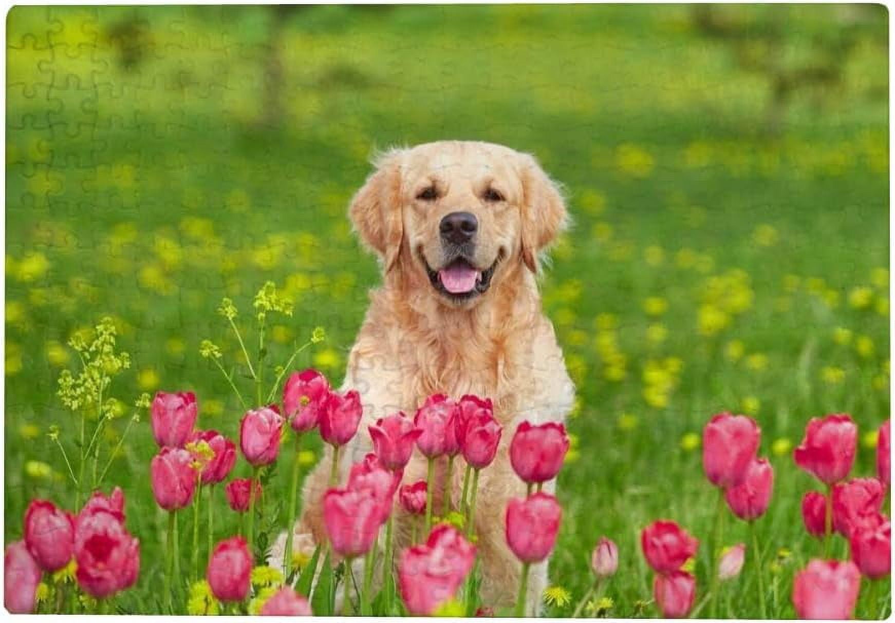 Wellsay Jigsaw Puzzles Artwork Gift for Adults Teens Golden Retriever