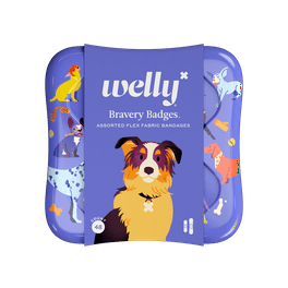 Welly Travel Medicine Kit 56 ct