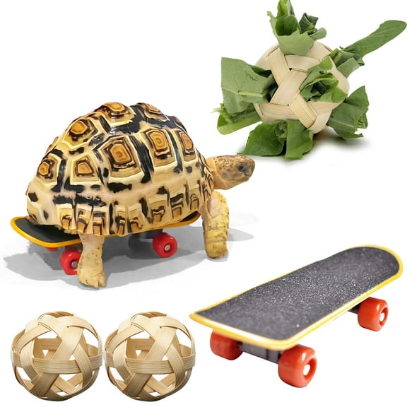 Weloille 3Pcs Turtle Training Toy Set, 1 Turtle Skateboard + 2 Bamboo Treat Dispenser Balls, Non-Toxic Interactive Exercise Enrichment Toys for Small Medium Pet Turtles
