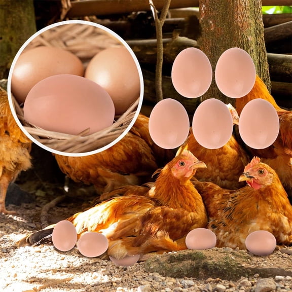 Weloille Artificial Plastic Eggs 5 Pieces, Realistic Faux Hen Egg Laying Training Tool, Smooth Non-Toxic Reusable Fake Eggs, for Chicken Coop Poultry Breeding DIY Craft Easter Decoration