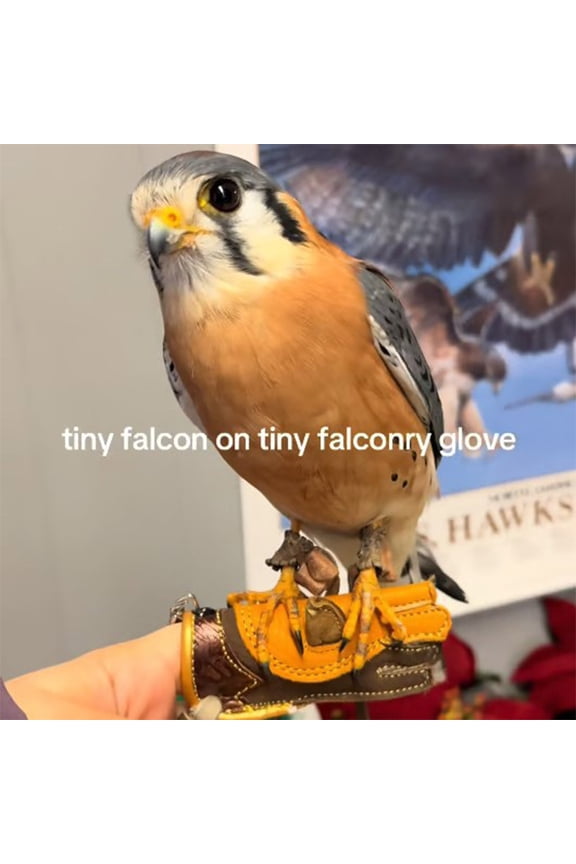 Falcon Glove Keychain Decor 1Pc, Exquisite Workmanship Vivid Shape Lightweight Design, Durable Scratch Resistant Pendant, for Backpacks Keys Car Interior Decoration