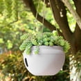 thumbnail image 1 of Weloille Hanging Basket Flower Pot - 1 Piece, Small Size & with Drainage Hole, for Balcony, Garden, Patio, Indoor & Outdoor Succulent Planting, 1 of 6