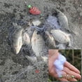thumbnail image 1 of Weloille New Fishing Net Design Copper Spring Shoal Fishing Net Netting Fishing Tackle, 1 of 9