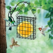 Weloille Suet Bird Feeders For Outside Suet Bird Feeders Use With Bird Feeding Suet Cakes Seed Cakes Mealworm Cakes - Suet Feeder Cage Suet Feeder For Outsi