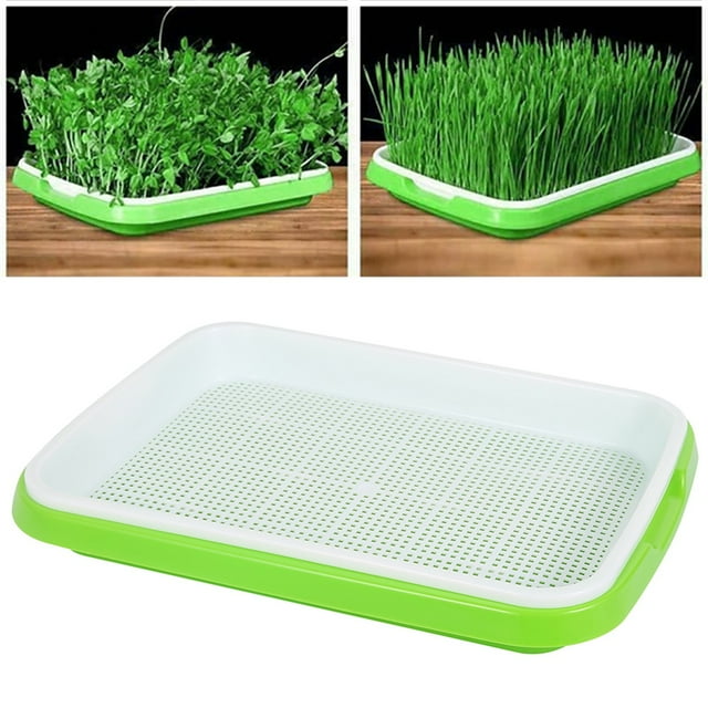 Welpettie Seed Sprouter Tray Seed Germination Tray with Drain Holes ...