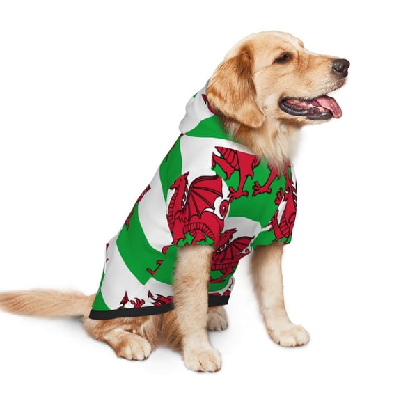 Welsh Dragon Flag Dog Hoodie Colorful Pullover Sweatshirts XX-Large
