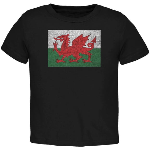 Welsh Flag Distressed Black Toddler T-Shirt - 2T