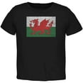 thumbnail image 1 of Welsh Flag Distressed Black Toddler T-Shirt - 4T, 1 of 1