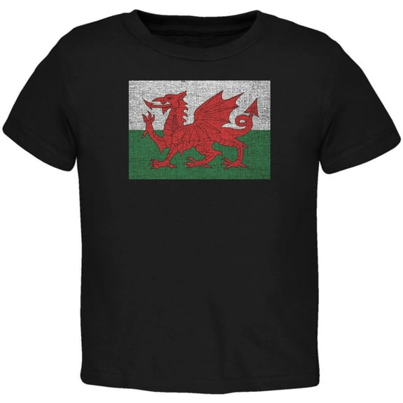 Welsh Flag Distressed Black Toddler T-Shirt - 4T
