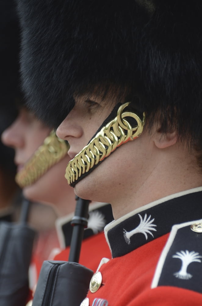 Welsh Guards stand in formation during the Trooping the Colour ceremony Canvas Art - Andrew ChittockStocktrek Images (23 x 35)
