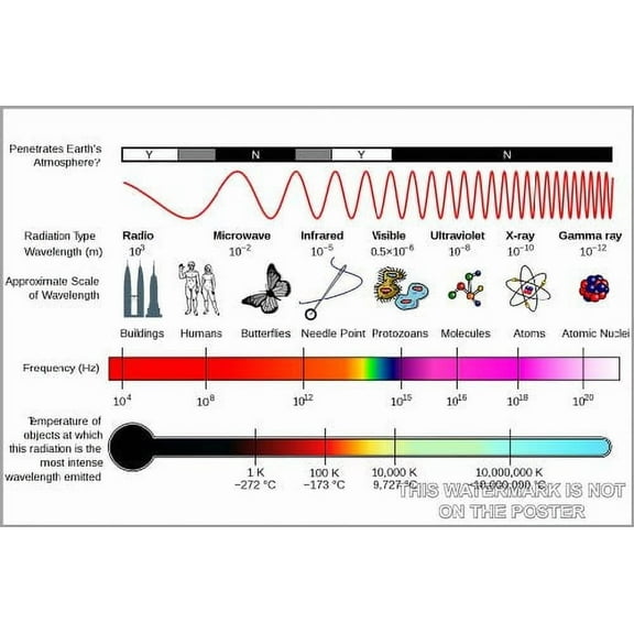 Welsh Printing Electromagnetic Spectrum 16" x 24" Framed Poster