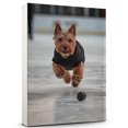 thumbnail image 1 of Welsh Terrier Dog Playing Ice Hockey Stretched Canvas Size 8x12 – Sports Dog, Perfect for Animal Lovers, Welsh Terrier Dog Canvas, Ice Hockey Canvas Size Wall Art, 1 of 5