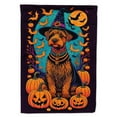 thumbnail image 1 of Welsh Terrier Witchy Halloween House Flag, 1 of 7