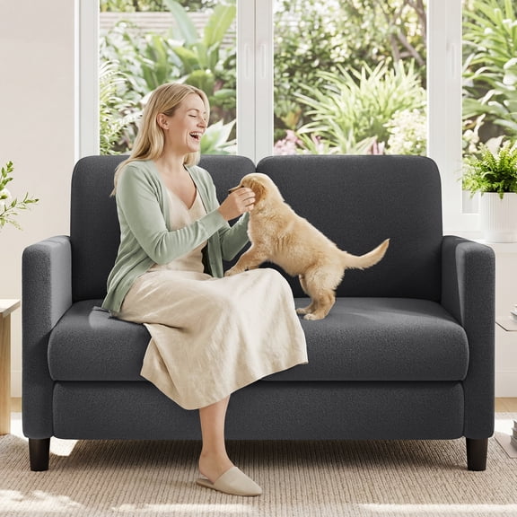 Welzona 51" Teddy Fabric Loveseat Sofa, Small 2-Seater Couch for Small Spaces, Tool-Free Assembly, Grey
