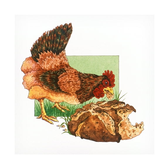Wendy Edelson 'Chicken Snack' Canvas Art