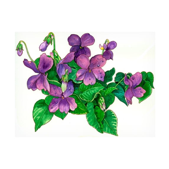 Wendy Edelson 'Violets Bunny' Canvas Art