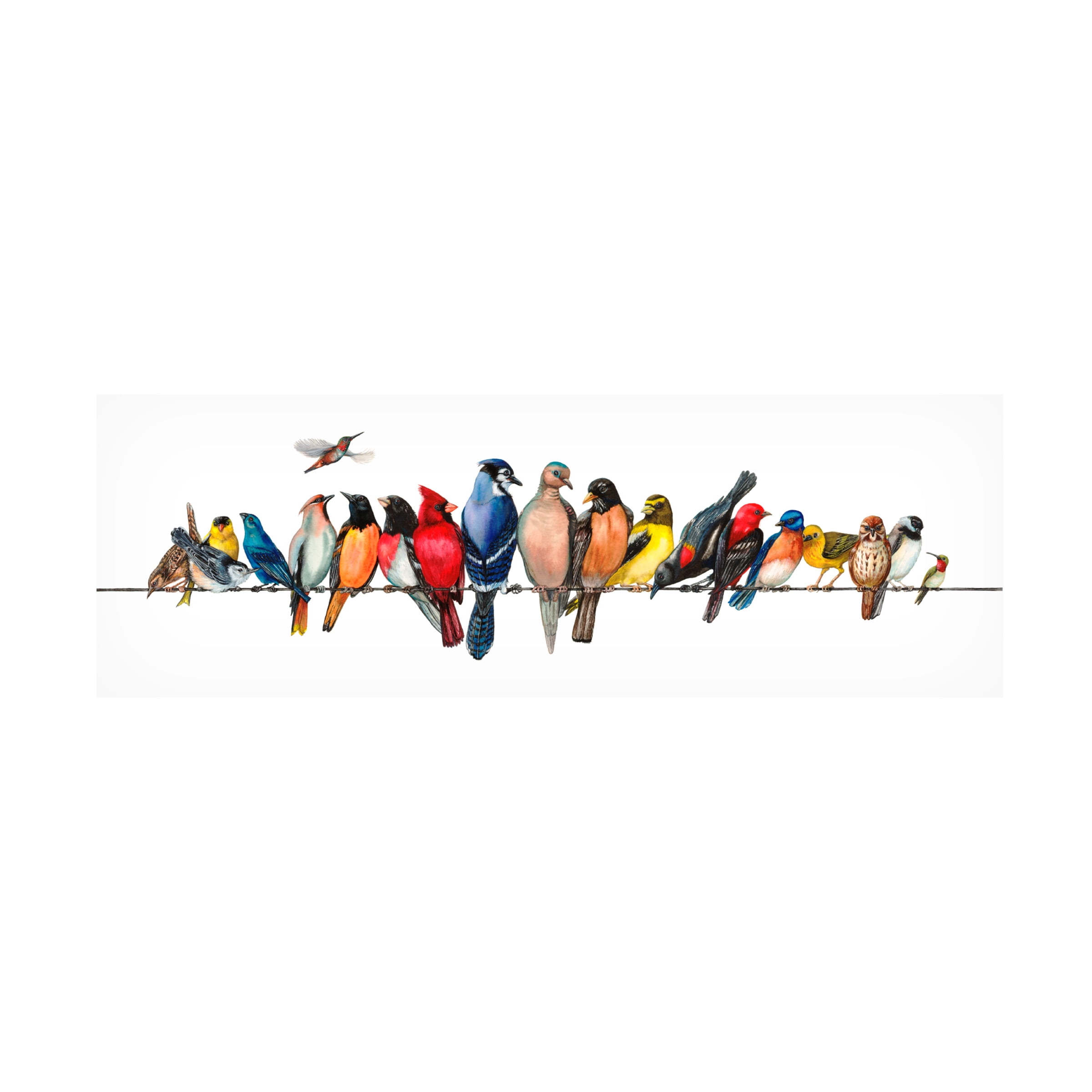 Trademark Fine Art Wendy Russell Large Bird Menagerie Ii Canvas Wall Art - 16x47