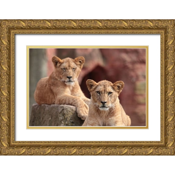 Wenner-Braun, Antje 14x11 Gold Ornate Wood Framed with Double Matting Museum Art Print Titled - SISTERS