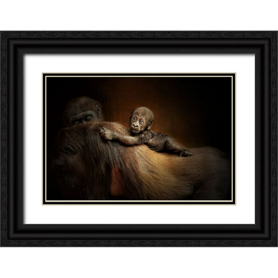 Wenner-Braun, Antje 18x13 Black Ornate Wood Framed with Double Matting Museum Art Print Titled - New Life