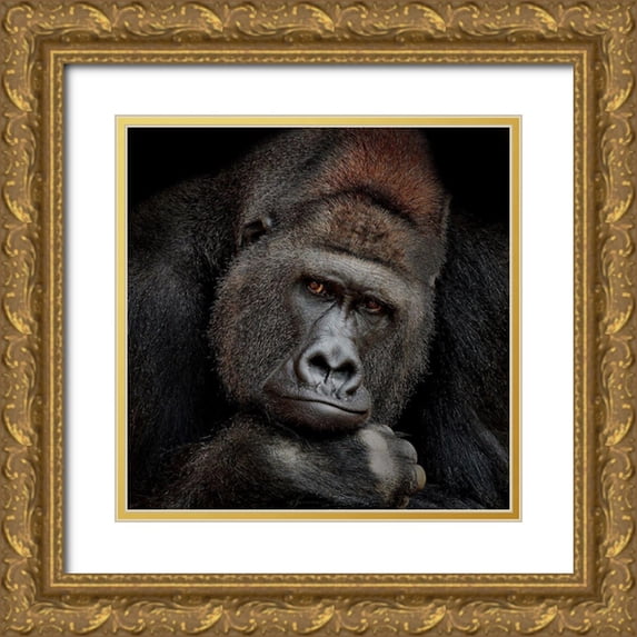 Wenner-Braun, Antje 20x20 Gold Ornate Wood Framed with Double Matting Museum Art Print Titled - One Moment In Contact