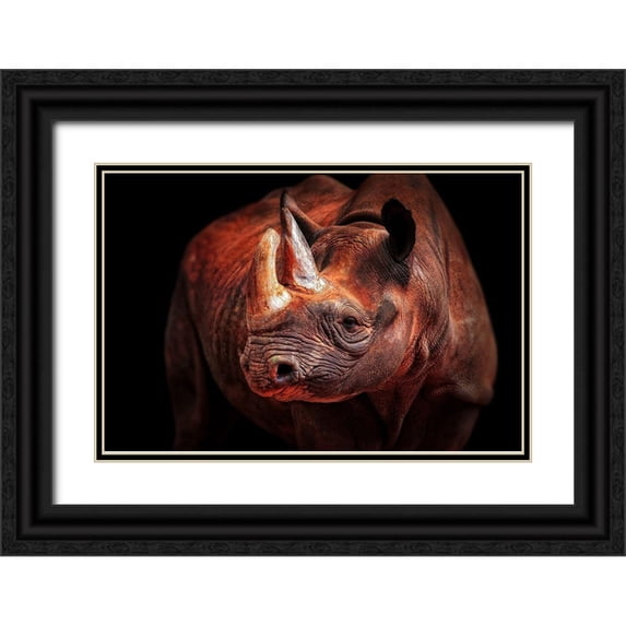 Wenner-Braun, Antje 32x23 Black Ornate Wood Framed with Double Matting Museum Art Print Titled - Rhino Posing