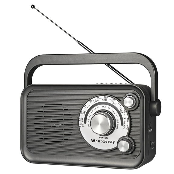 Wenpzeray D218 Portable Multifunctional Radio AM FM Shortwave Classic Radio, USB Type-C Charging(Grey)